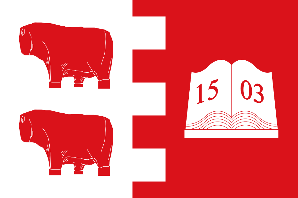 Fayl:Bandera de Villatoro.svg