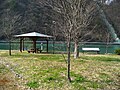 To‘g‘on yonidagi Mizutori bog‘i