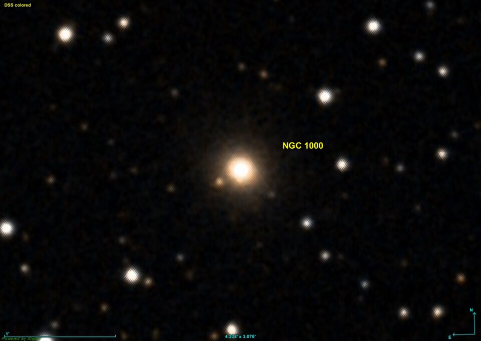 Fayl:NGC 1000 DSS.jpg