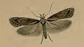 23:01, 2011-yil 11-oktyabr dagi versiya uchun tasvir