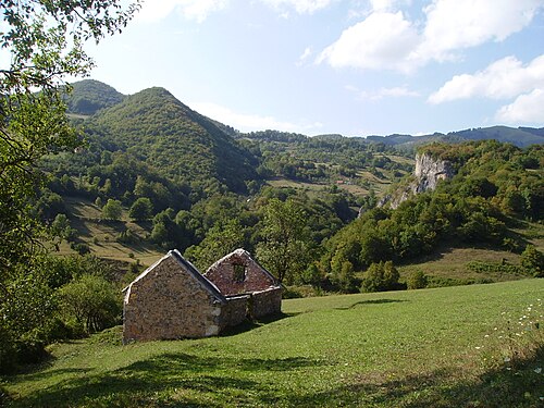 Dimitor