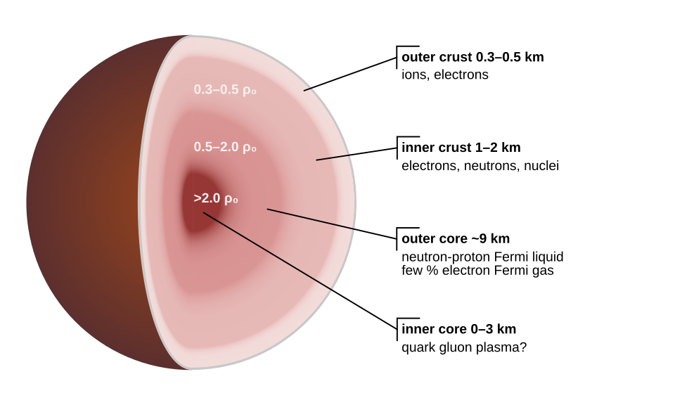 Fayl:Neutron star cross section.svg