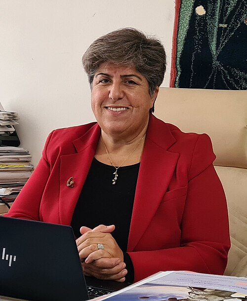 Fayl:Canan Güllü 2021 (cropped).jpg