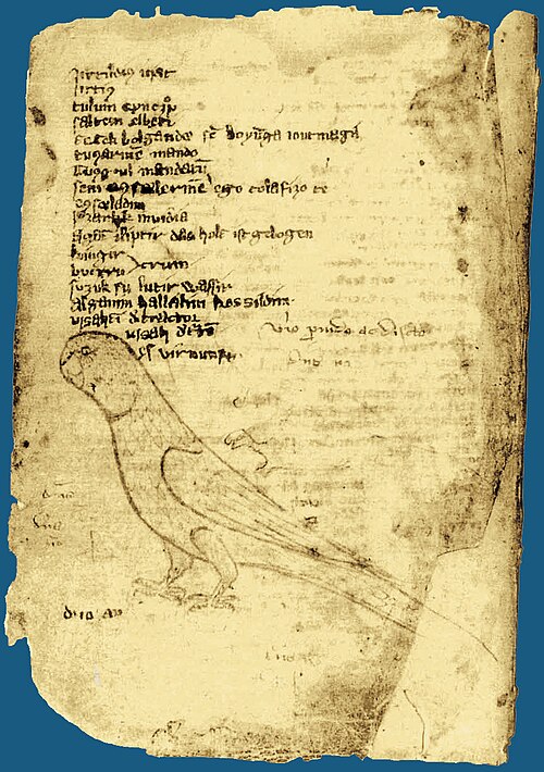 Fayl:Codex Cumanicus 58.jpg