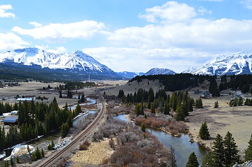 Crowsnest daryosi