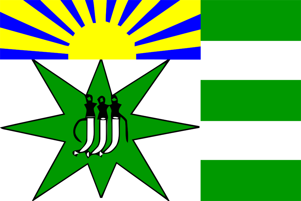 Fayl:Flag of Tiznit province.svg