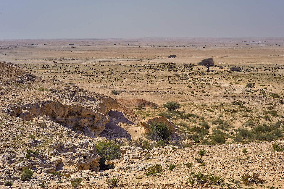 Fayl:Limestone escarpments near Al Kharrara.jpg