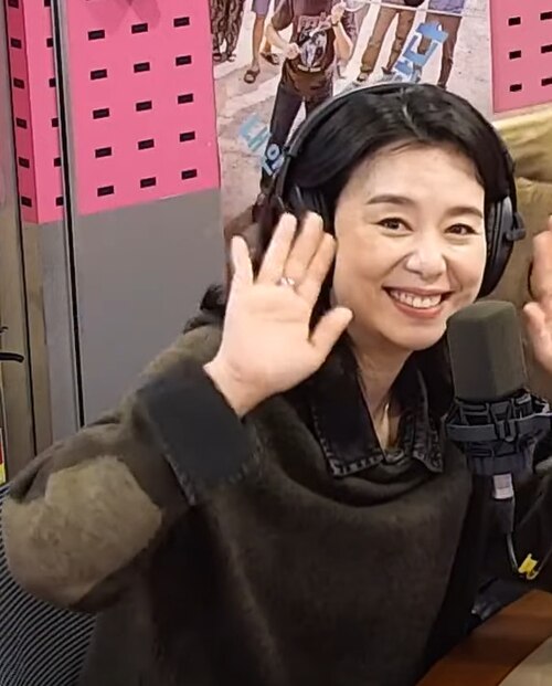Fayl:201112 Jang Hye-jin.jpg