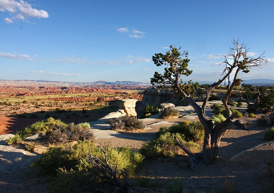 Fayl:Castle Valley view, Utah.jpg
