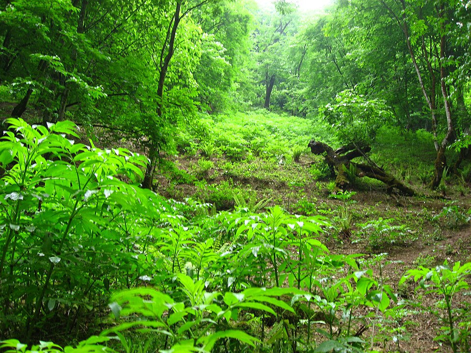 Fayl:Ghaleye Rud Khan (14).JPG