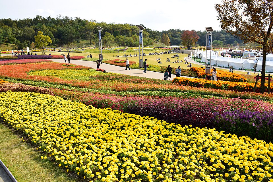 Fayl:Morikoro Park.JPG