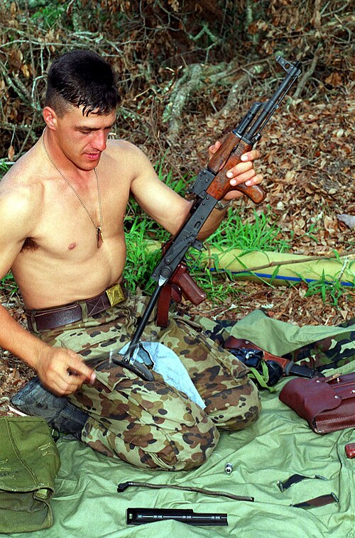 Fayl:Romanian Soldier DM-SD-02-00499.JPEG