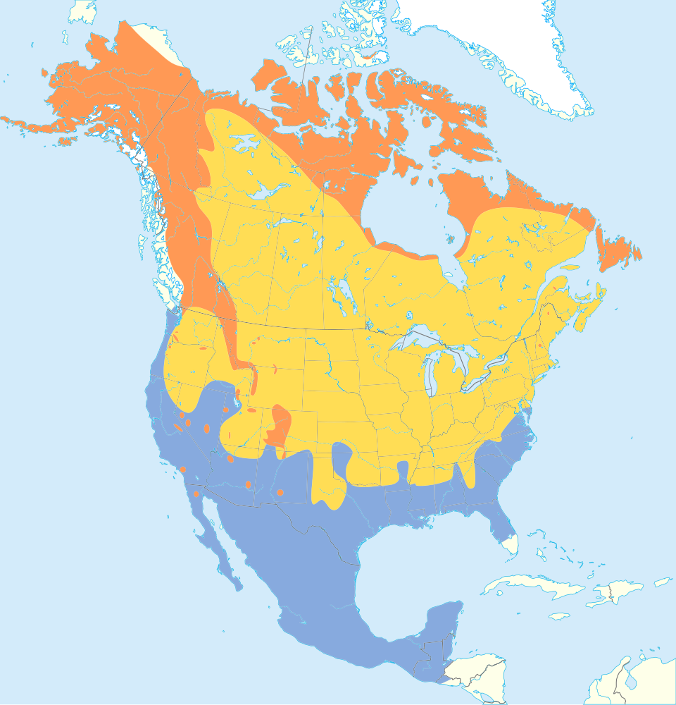 Fayl:Anthus rubescens map.svg