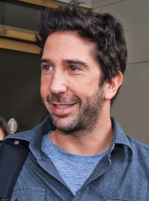 Fayl:David Schwimmer (5208598833).jpg