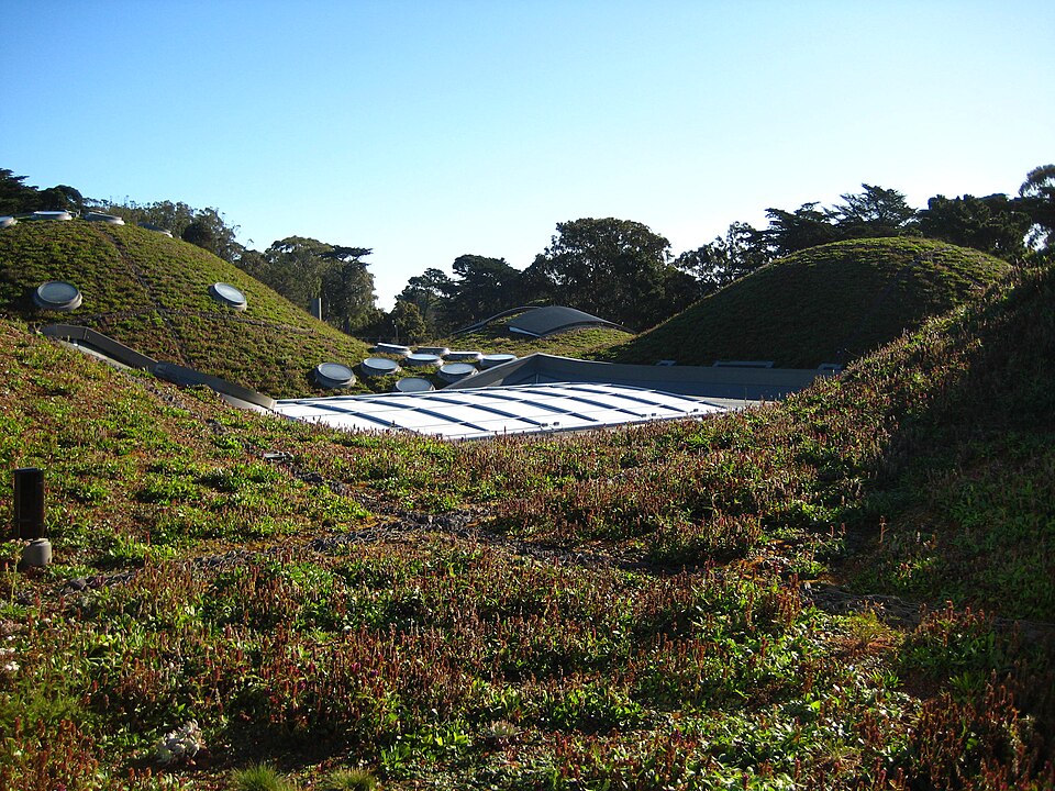 Fayl:Living Roof.JPG