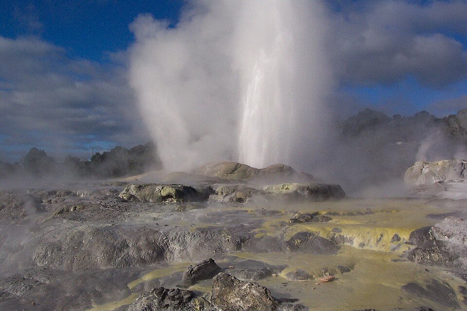 Fayl:Nouvelle Zélande Whakarewarewa Geyser.JPG