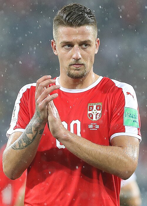 Fayl:Milinković-Savić 2018.jpg