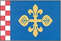 {{{rasmiy_nomi}}}ning bayrogʻi