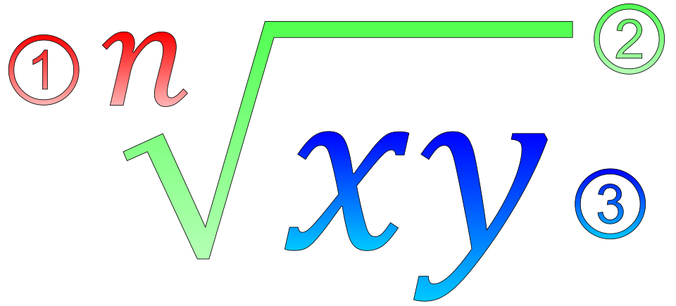 Fayl:Structure of a root.svg