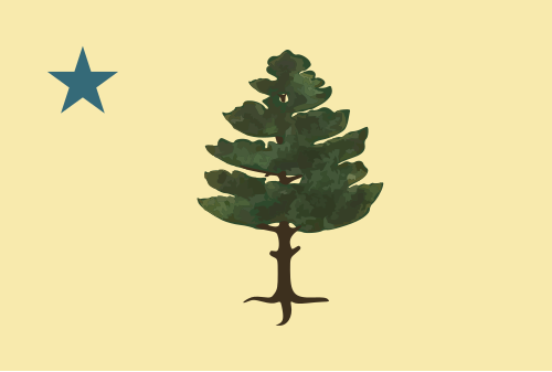 Fayl:Flag of Maine (1901–1909).svg