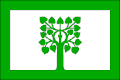 {{{rasmiy_nomi}}}ning bayrogʻi