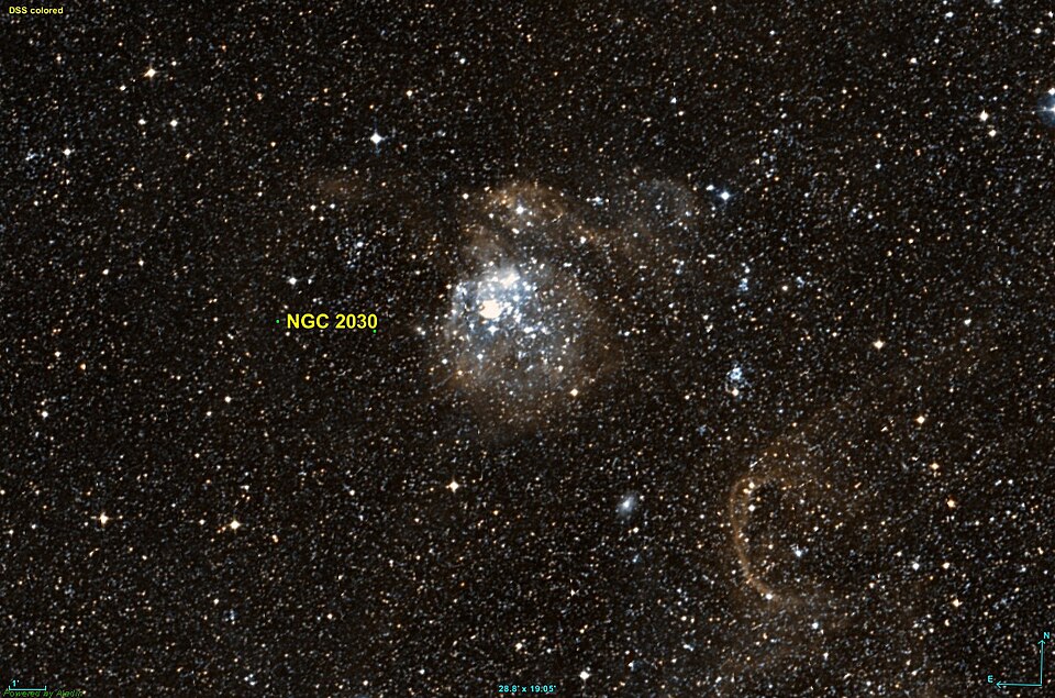 Fayl:NGC 2030 DSS.jpg