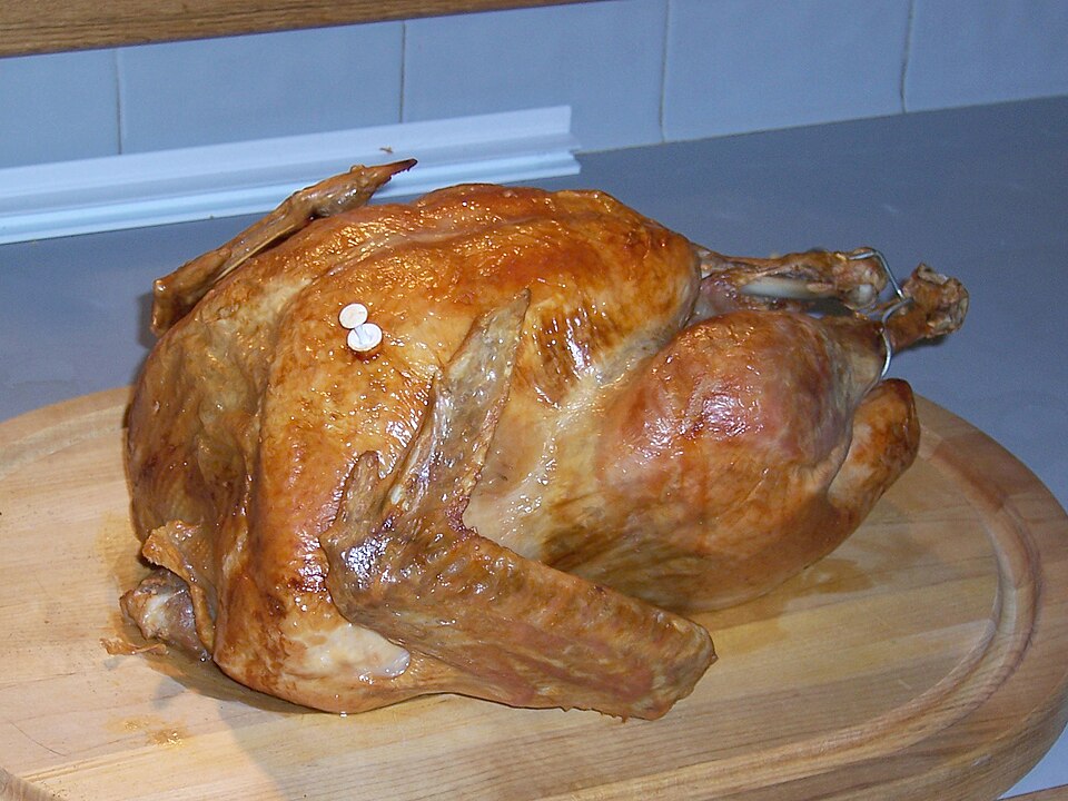 Fayl:Thanksgiving Turkey.jpg