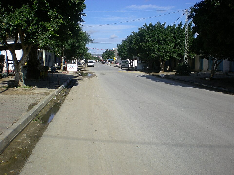 Fayl:MainStreetAousja.JPG