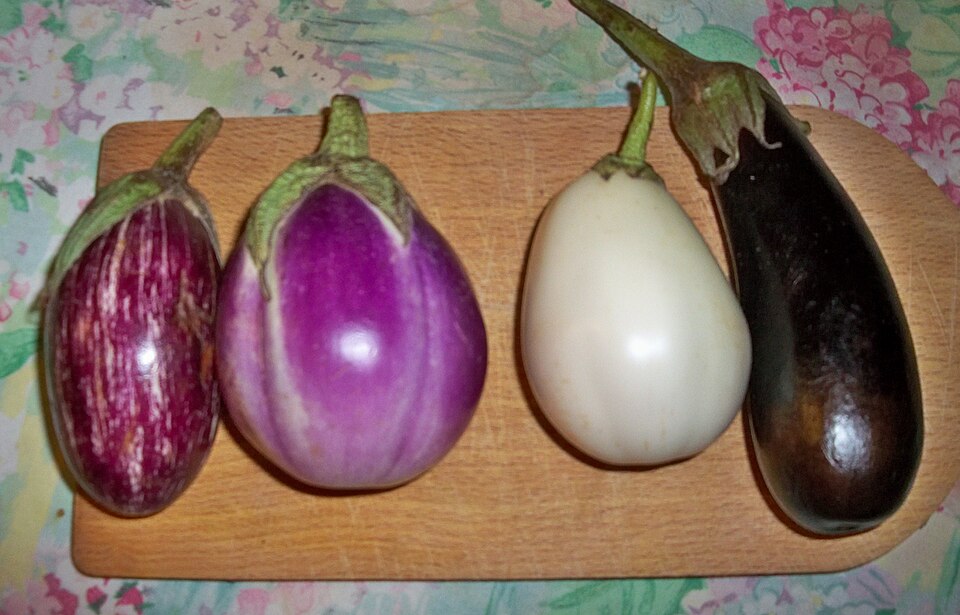 Fayl:Variétés d'aubergines.JPG