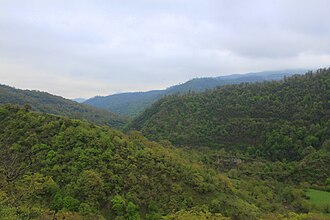 Talish togʻlari