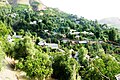 Qishloq tabiyati