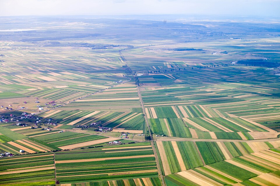Fayl:Around Suceava, Romania (10766493523).jpg