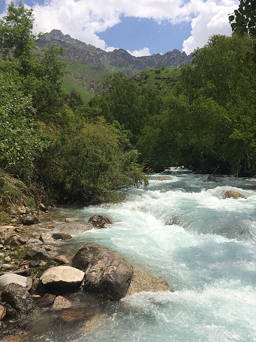 Fayl:Beshtor river.jpg