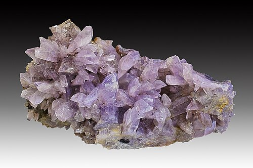 Creedite