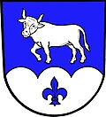 Coat of arms of Dlouhá Stráň