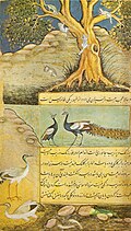 13:13, 2007-yil 23-dekabr dagi versiya uchun tasvir