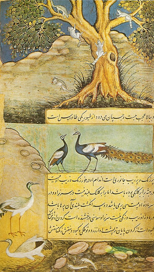 Fayl:PeafowlBaburnama.jpg