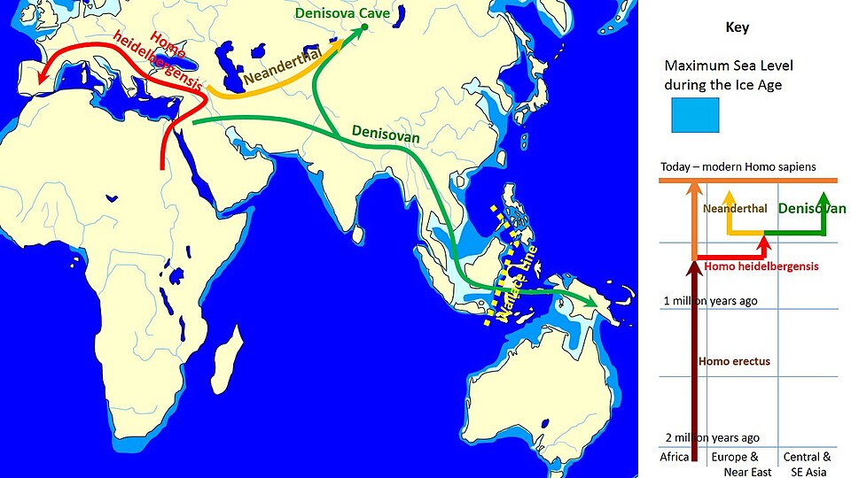 Fayl:Spread and evolution of Denisovans.jpg
