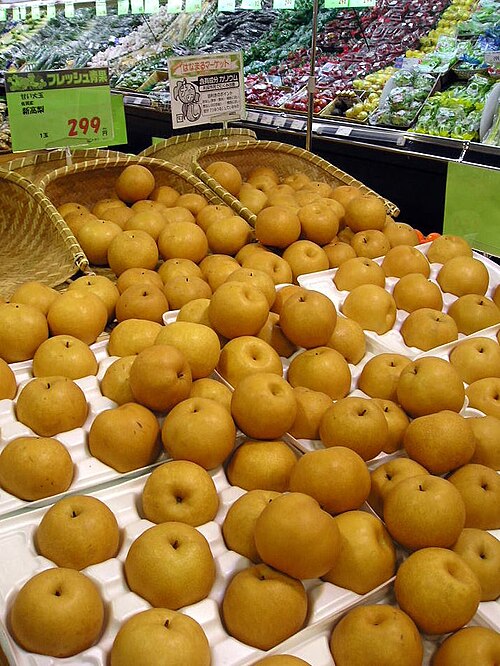 Fayl:Asian.pear-Pyrus.pyrifolia-06.jpg
