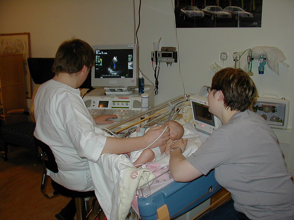 Fayl:Sonographer doing pediatric echocardiography.JPG