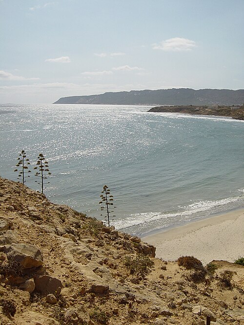 Fayl:Sounine Acapulco2.jpg