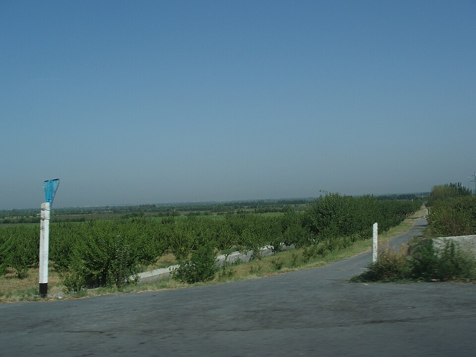 Fayl:Ferghana Valley UZB.JPG