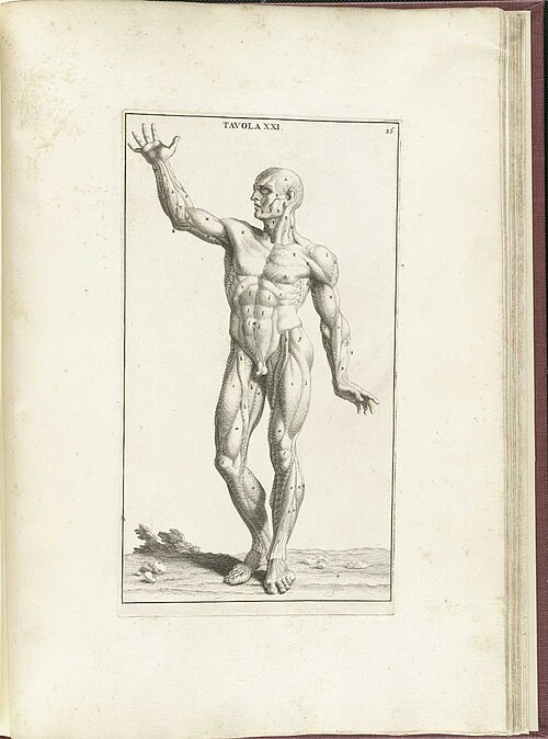 Fayl:Genga 36.jpg
