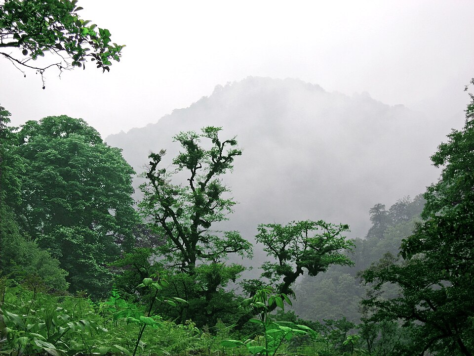 Fayl:Ghaleye Rud Khan (40) 4.jpg
