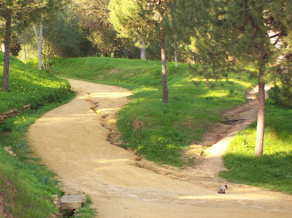 Fayl:Curva oromana.jpg