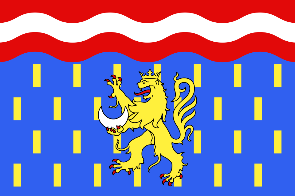 Fayl:Drapeau fr département Haute-Saône.svg