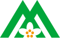 Iizuna