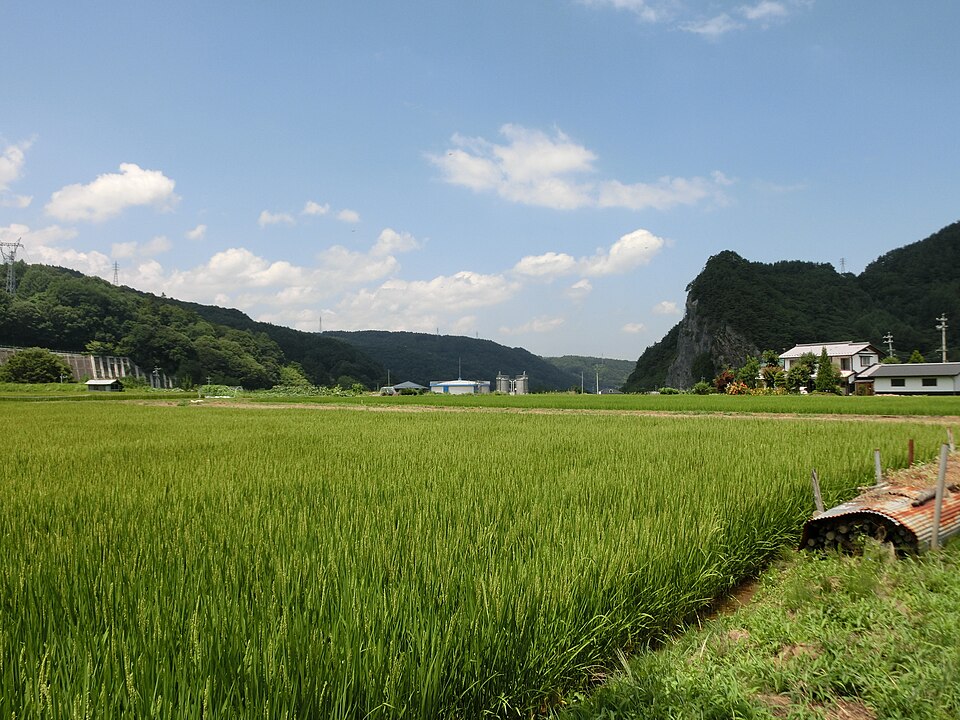 Fayl:Higashi-Managashi.JPG