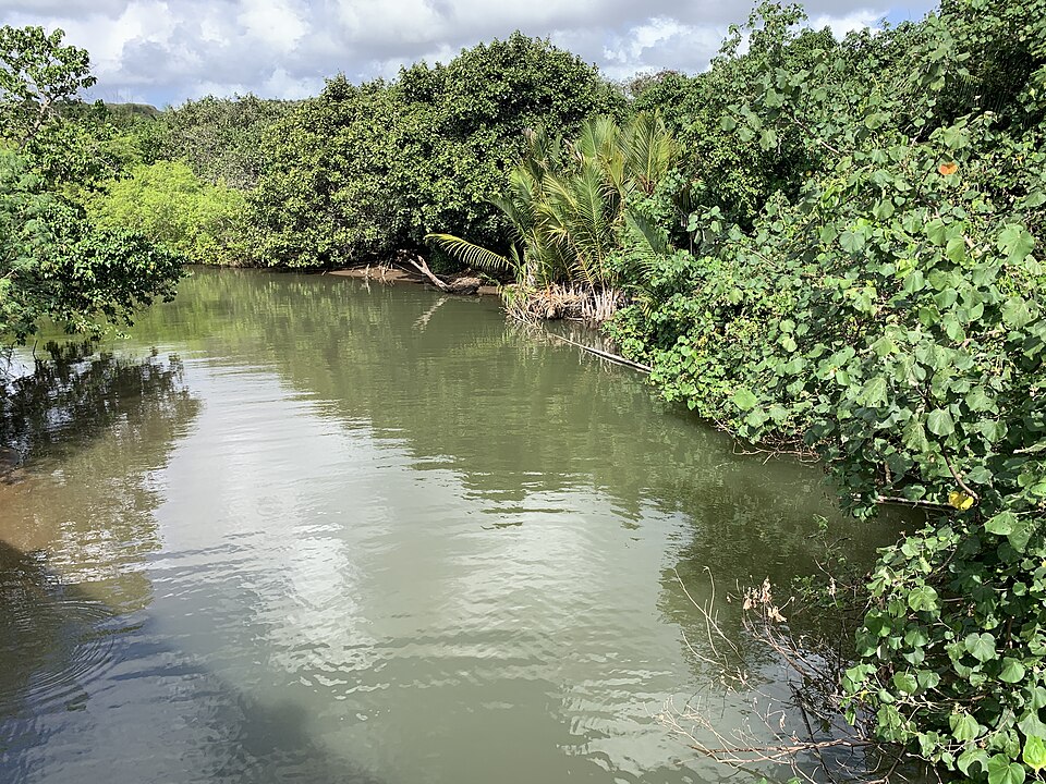 Fayl:Ajayan River.jpg