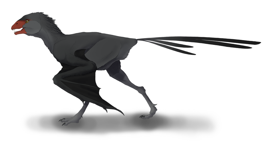 Fayl:Ambopteryx restoration.png